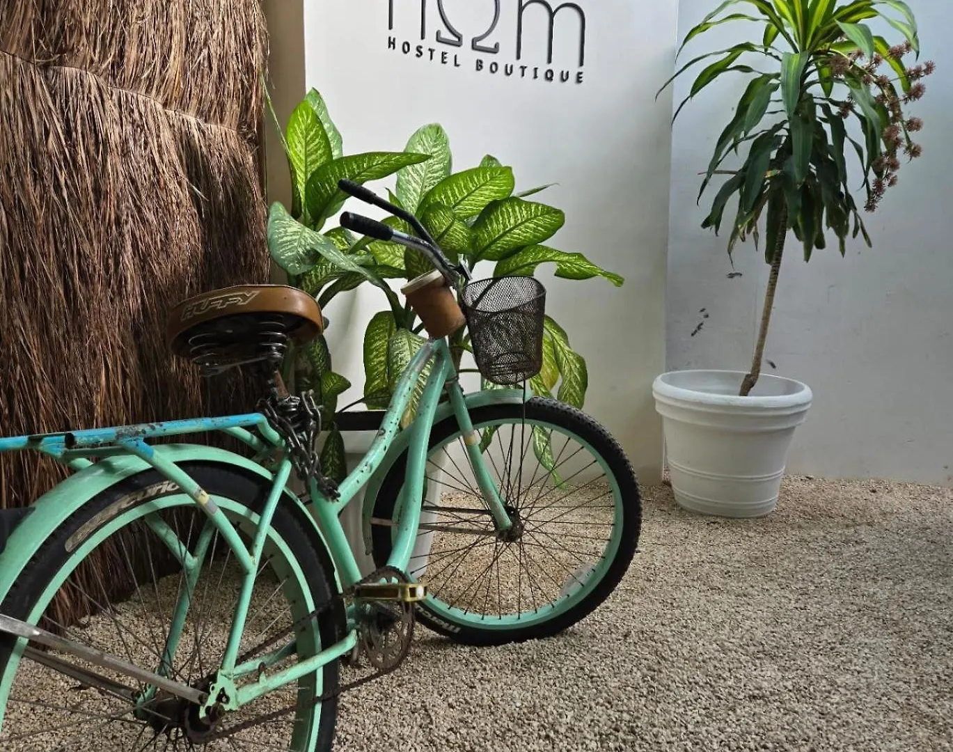 Hom Hostel Boutique Playa del Carmen