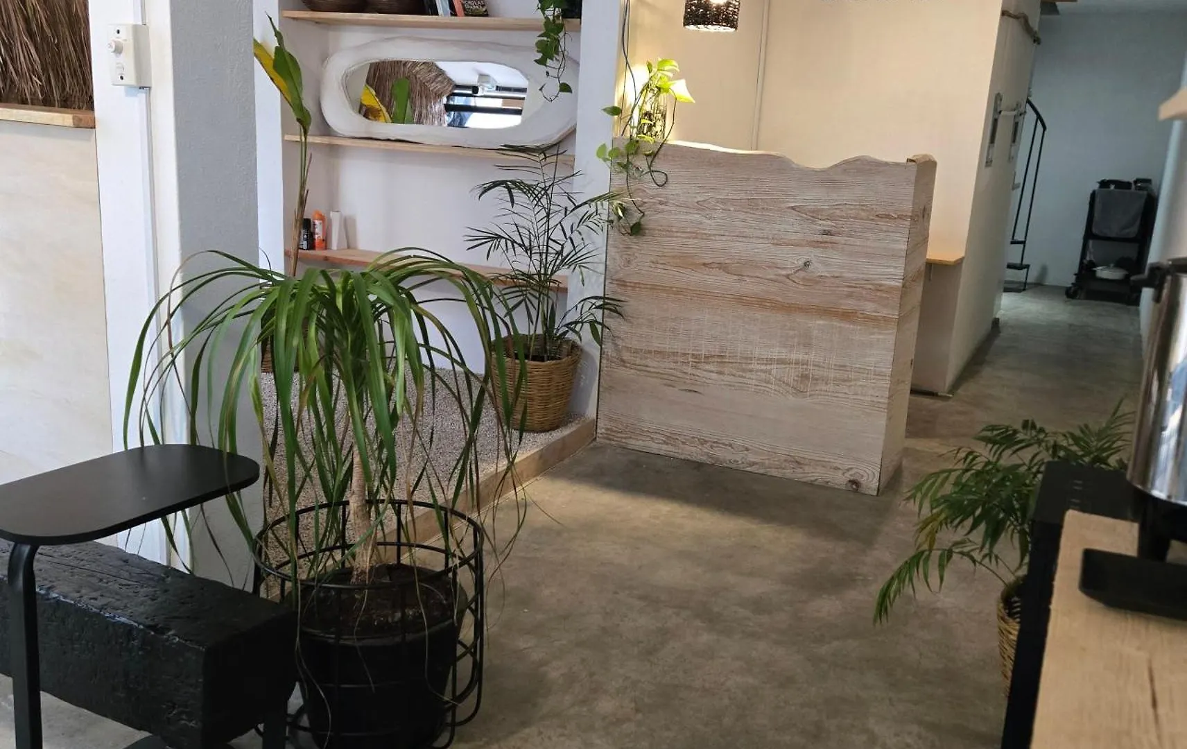 Hom Hostel Boutique Playa del Carmen