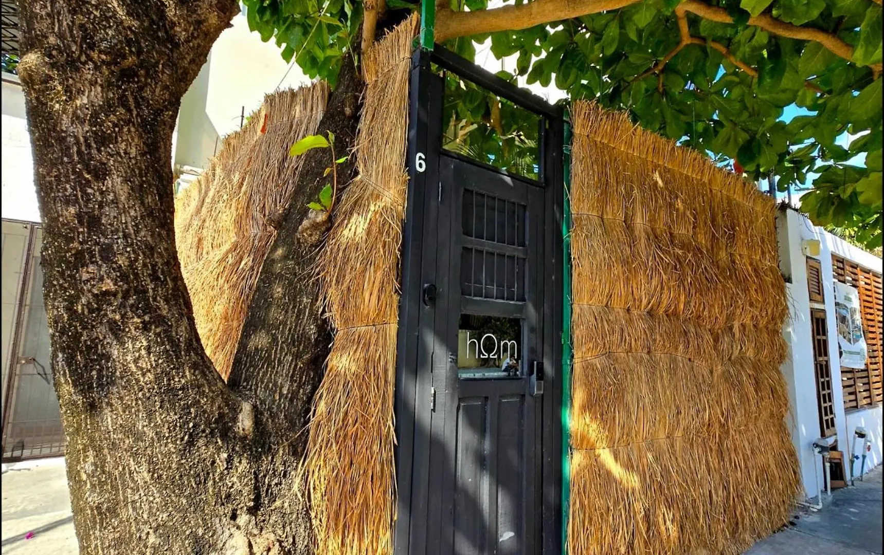 Hom Hostel Boutique Playa del Carmen